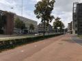 Helmond, The Castle