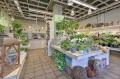 Plantage 132 - 134