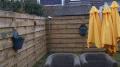 Tuin