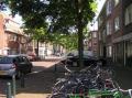 Omgeving