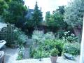 Tuin
