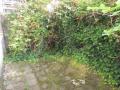 Tuin
