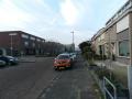 omgeving