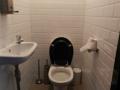 Toilet 166a