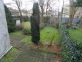 Tuin