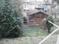 Tuin