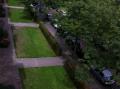 Omgeving