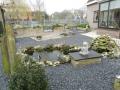 Tuin