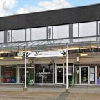 Belegging Haarlem
