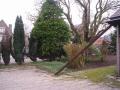 Tuin