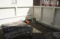 Dakterras