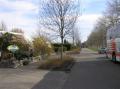 Straat