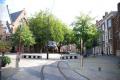 Omgeving