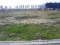 locatie