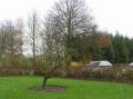 Voortuin