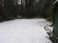 Achtertuin