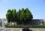 Hazerswoude Rijndijk, Sweelincklaan 32