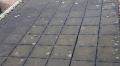 Dakterras