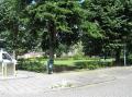 Omgeving / park