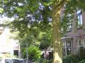 Straatbeeld