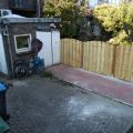 Tuin
